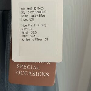 Brand New Stacees Bridesmaid Dress